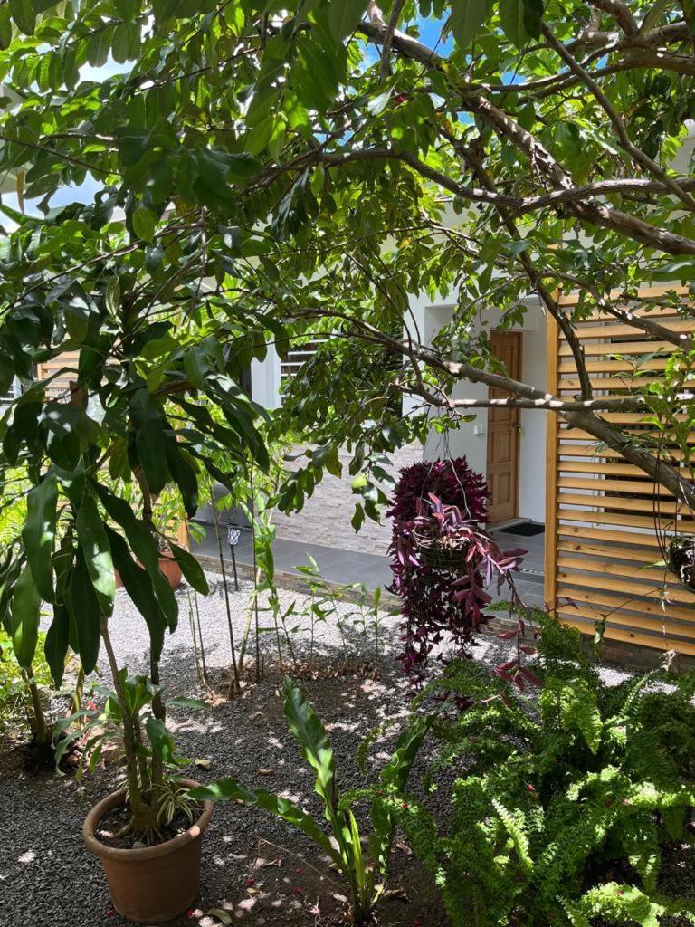 Pare LODGE TAHITI Pirae Exterior foto